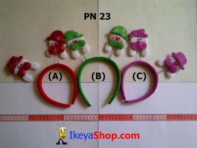 large2 PN 23 A C